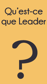 Qu'est ce que le programme Leader ?